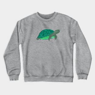 turtle Crewneck Sweatshirt